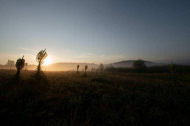 A rural sunrise in the morning mist.