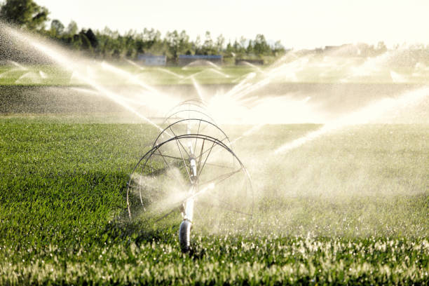 istock Agricultural irrigation wheel line 1357041907