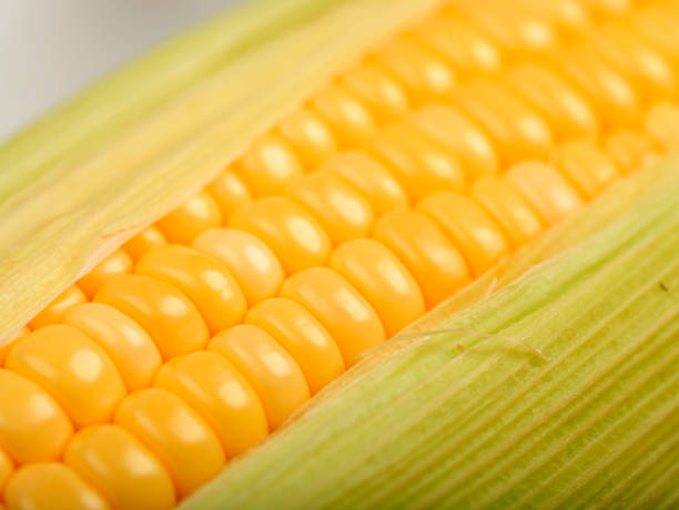 코브에 달콤한 옥수수를 닫고, 유기농 식품을 준비하는 성분 - corn on the cob macro corn crop freshness 뉴스 사진 이미지