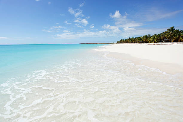 istock Beautiful beach scene in Antigua and Barbuda 135704649