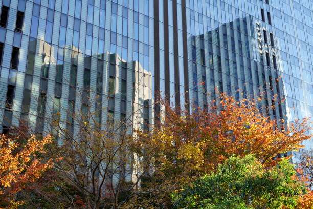 istock Office buildings in Autumn7 1357049073