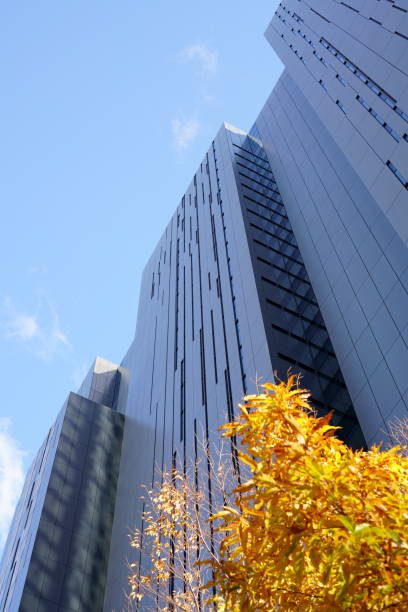 istock Office buildings in Autumn9 1357049074