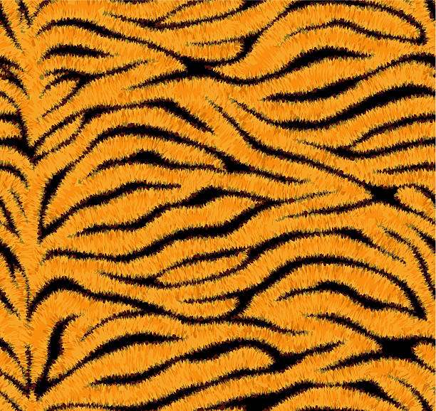 nahtlose tiger skin muster - tiger skin stock-grafiken, -clipart, -cartoons und -symbole