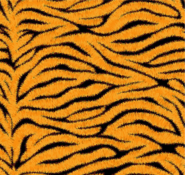 Seamless tiger skin pattern Highly detailed seamless pattern. Clear neat joints. Easy to work with (just drop it into your Illustrator pattern box). fur textures stock illustrations