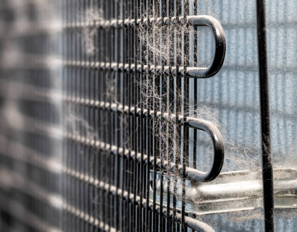 Dirty coolant tubes and radiating fins at the back of a fridge. Concept for safe cleaning or vacuuming the freezer or fridge from dust and hair. Selective focus and textured heat resistant backside. spiral stock pictures, royalty-free photos & images