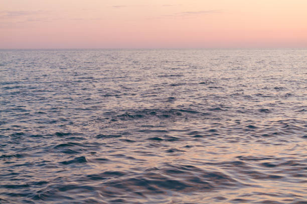 istock Pale pink sunset and sea surface with ripples 1357057901