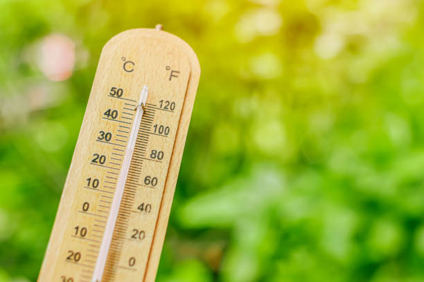 istock Thermometer with blur green background for cooling air low temperature from plant tree garden 1357061829