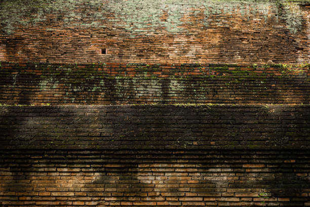 old ancient brick wall grunge dirty with moss