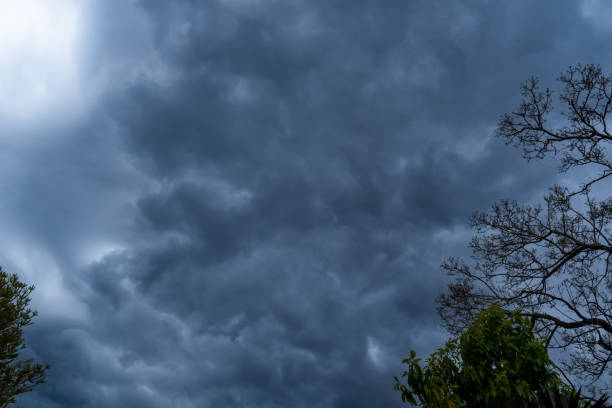 istock The storm is coming. Storm clouds above the tree. Heavy torrential rain. Rainfall flash flooding . Metorology weather forecast. Low pressure area. La Nina 1357063825