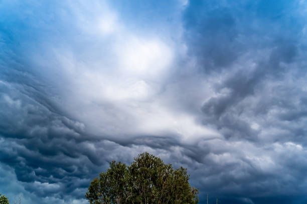 istock The storm is coming. Storm clouds above the tree. Heavy torrential rain. Rainfall flash flooding . Metorology weather forecast. Low pressure area. La Nina 1357063928