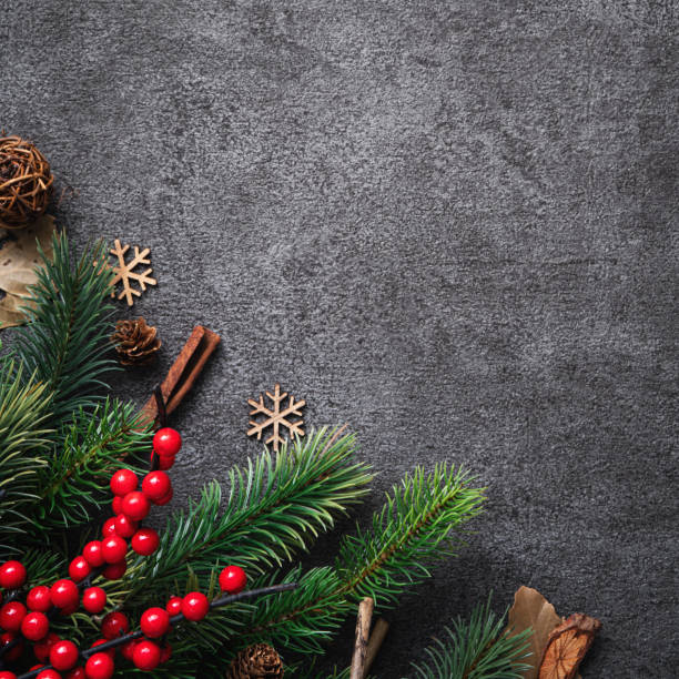 istock Christmas background design concept with fir tree branch border frame. 1357064571