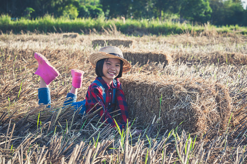 Kids working straw bales to collect and helping sweep haystack to pile in rice field of organic farm on daytime