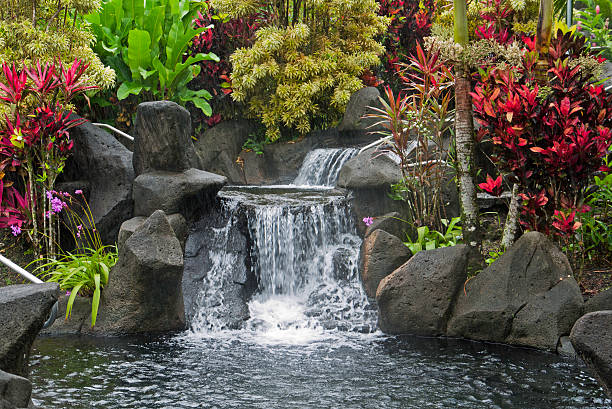 piscine thermale - tropical climate waterfall formal garden ornamental garden photos et images de collection