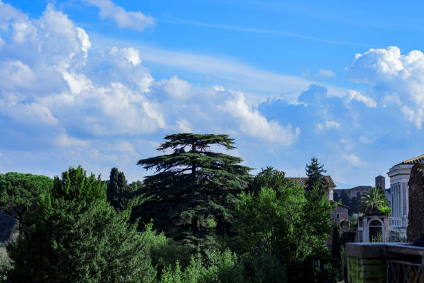 ローマ、ラツィオ、イタリア - 11月 13 2021: ローマの風景. - coliseum rome italy city ストックフォトと画像