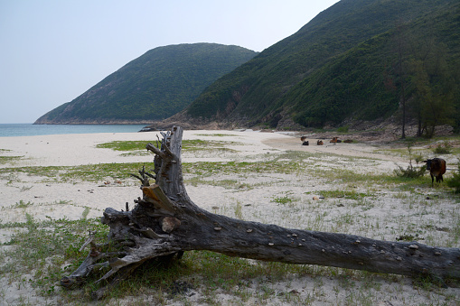 The beautiful Long Ke beach in Sai Kung peninsula, Hong Kong.