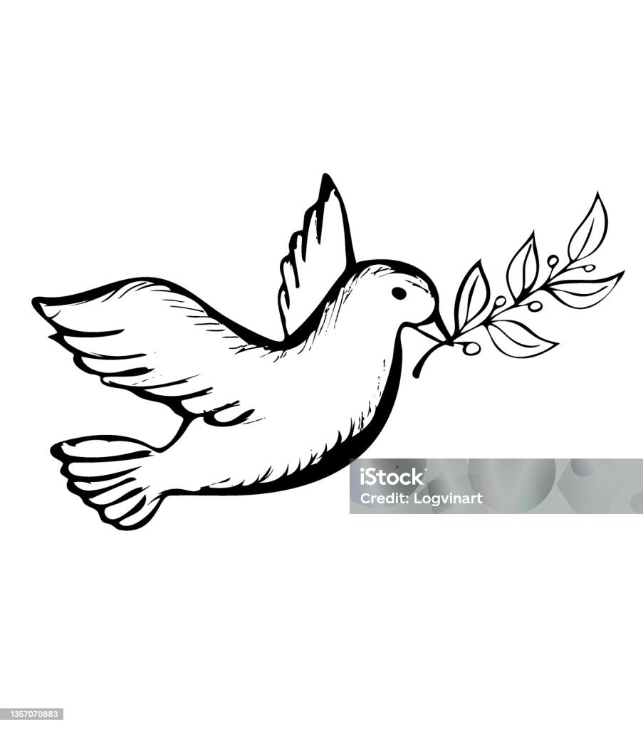 Chim Bồ Câu Với Cành Ô Liu Biểu Tượng Của Hy Vọng Và Hòa Bình Hình ...