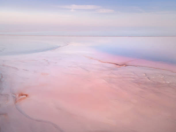 istock Coast of pink salt lake. 1357075630