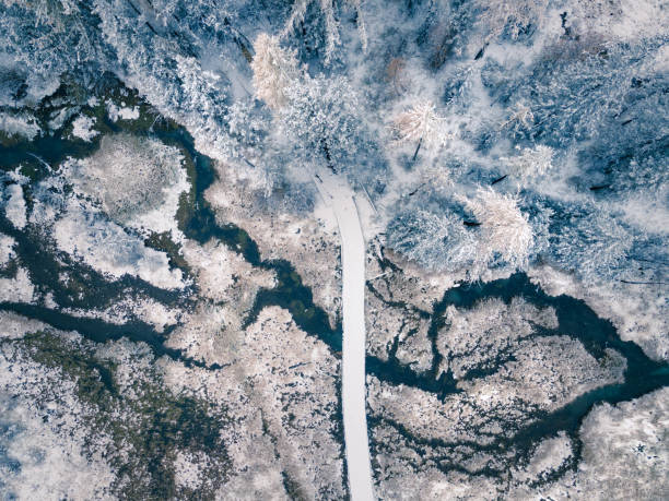 winter schneebedeckter wald und fluss mit brücke - winter stream river snowing stock-fotos und bilder