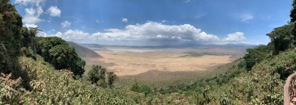 istock Ngorongoro crater 1357076674