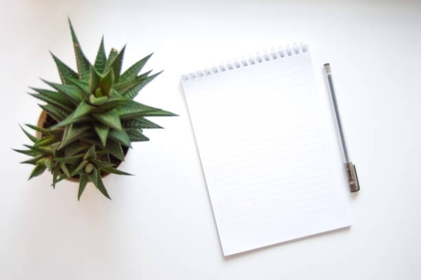 istock A notepad with a blank page, a pen, and a succulent cactus on a light background. 1357082942