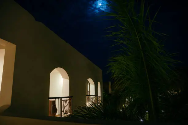 Photo of Arabic style. View of the courtyard in the Egyptian hotel at night. Green palm leaves on the background of the building at night