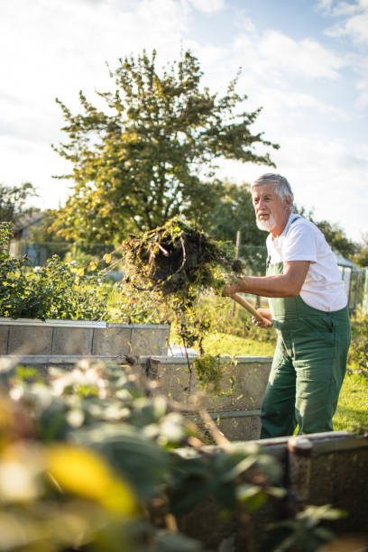 istock Senior gardener in his garden 1357086126