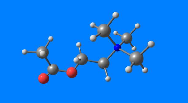 estructura molecular de acetilcolina aislada en azul - acetylcholine fotografías e imágenes de stock