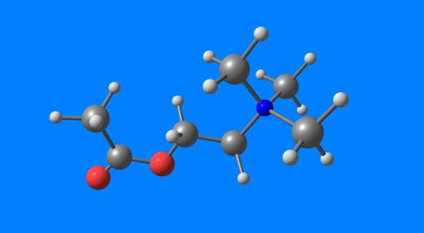 파란색으로 분리된 아세틸콜린 분자 구조 - acetylcholine 뉴스 사진 이미지