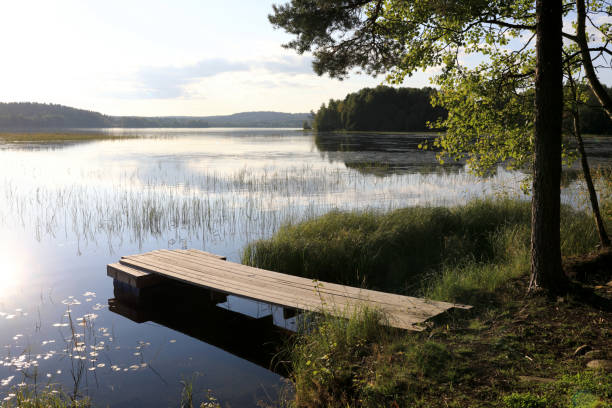 istock Wooden bridge on lake 1357094939