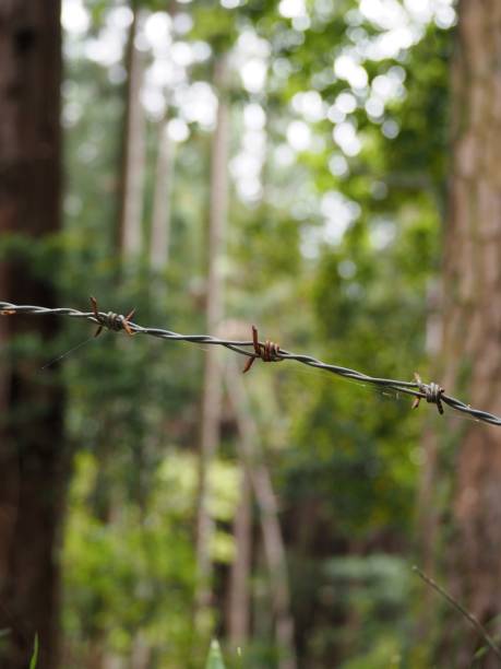 istock Close-up view of rusty metal wire with knot 1357095211