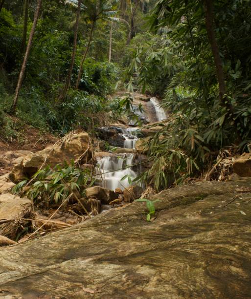 istock Mountain stream in the forest, long exposure picture 1357097466
