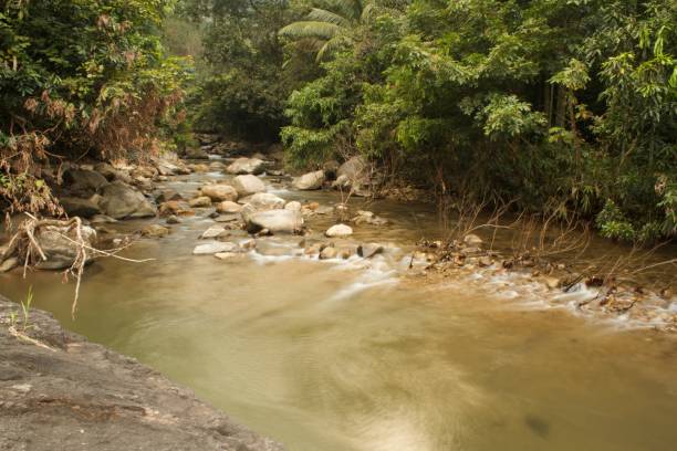 istock Mountain stream in the forest, long exposure picture 1357097503