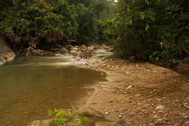 istock Mountain stream in the forest, long exposure picture 1357097525