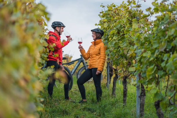 秋のブドウ園でeバイクカップルがワインを味わう - adult autumn couple face to face ストックフォトと画像