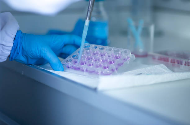 istock Medical and medicine laboratory 1357101456