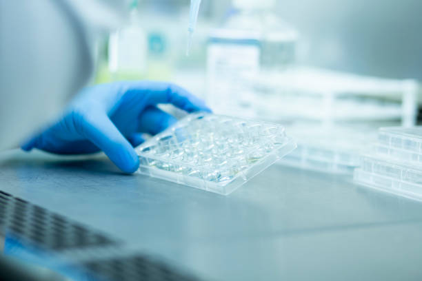 istock Medicine and medical laboratory 1357101875