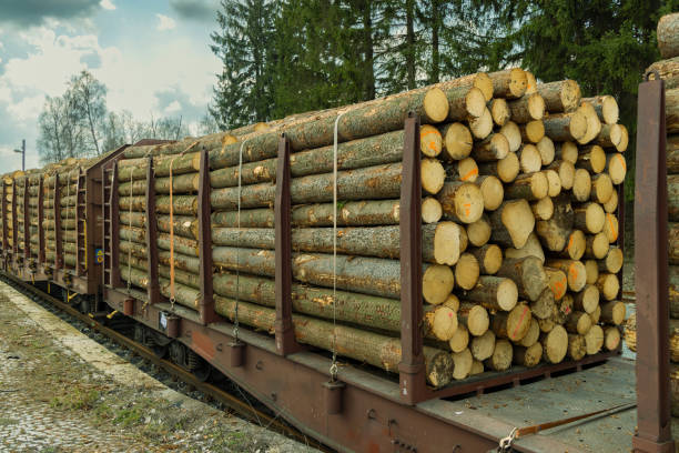 istock Transport of timber on railway wagons 1357101988