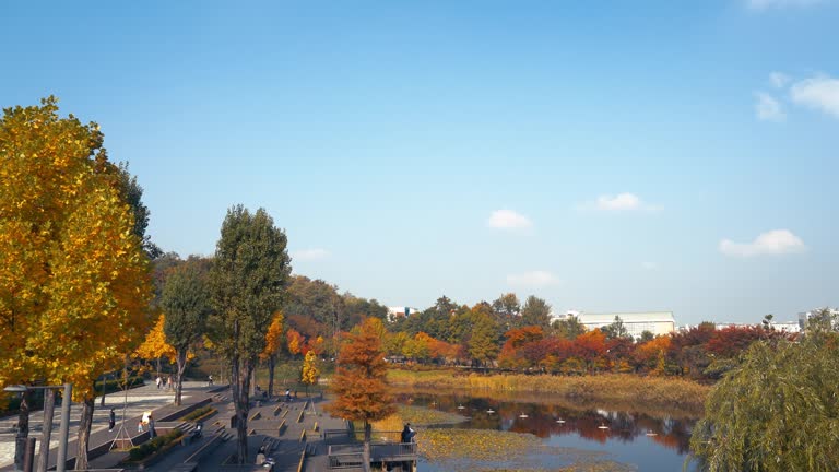 Autumn of West Seoul Lake Park in Seoul, Korea