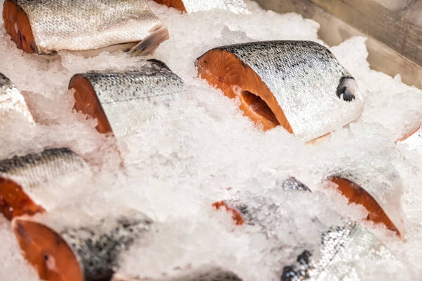 istock Fresh seafood on crushed ice at fish market 1357104269