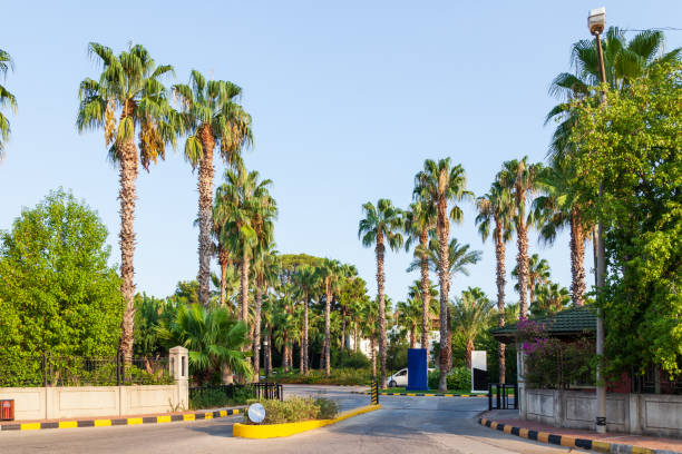 cruce de asfalto de la ciudad con palmeras a lo largo de la carretera en kemer, turquía. - food desert day asia fotografías e imágenes de stock