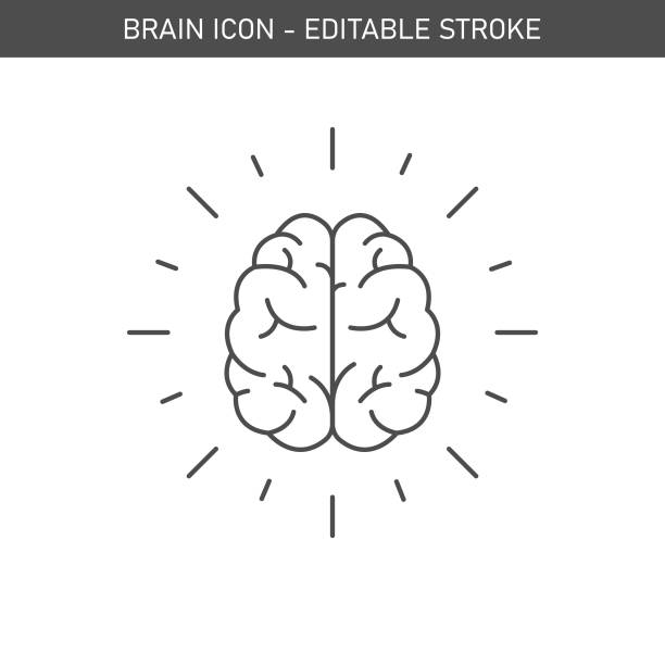 ilustraciones, imágenes clip art, dibujos animados e iconos de stock de diseño vectorial de iconos del cerebro humano. - brain