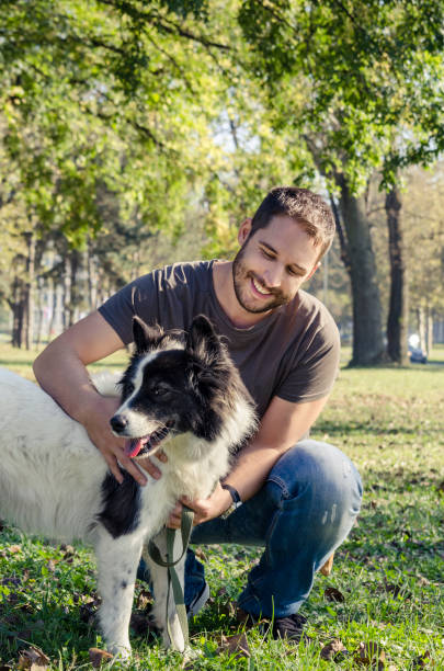 un homme et son chien jouent dans le parc - dog retrieving german shepherd pets photos et images de collection