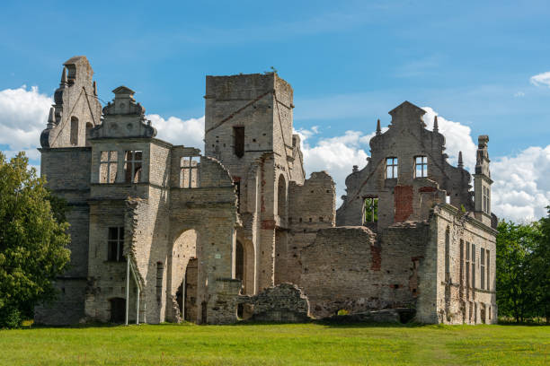 ruinas de edificios neobarrocos de la mansión ungru estonia - neobaroque fotografías e imágenes de stock