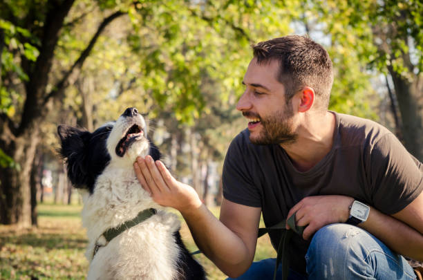 istock Man with his dog playing in the park 1357111969