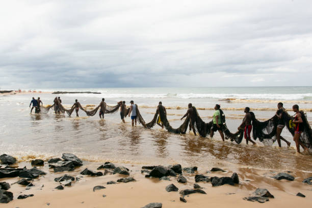 Salvador, Bahia, Brazil - January 11, 2019: Fishermen taking the big net to the colony.