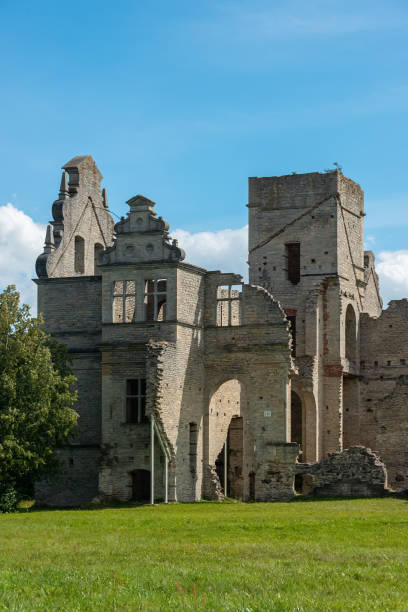 ruinas de edificios neobarrocos de la mansión ungru estonia - neobaroque fotografías e imágenes de stock