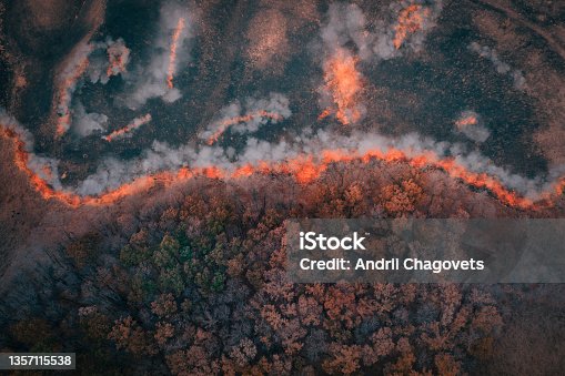 istock A strip of Dry Grass sets Fire to Trees in dry Forest: Forest fire - Aerial drone top view. 1357115538
