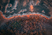 A strip of Dry Grass sets Fire to Trees in dry Forest: Forest fire - Aerial drone top view.