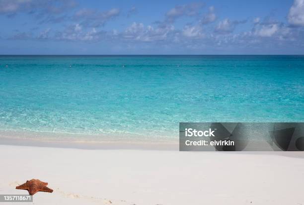 Paradise Beach On Bahamas Coast Nassau Stock Photo - Download Image Now - Bahamas, Nassau, Beach