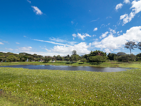 La Sabana Metropolitan Park (Parque Metropolitano La Sabana) - located in downtown San José, Costa Rica, the country's largest and most significant urban park.